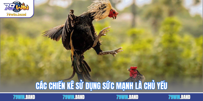 Các chiến kê sử dụng sức mạnh là chủ yếu