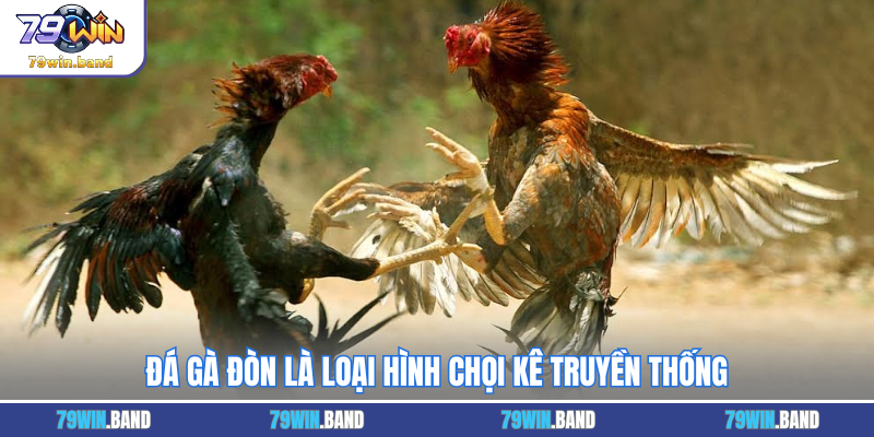Đá gà đòn là loại hình chọi kê truyền thống
